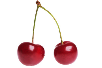cherries on white background