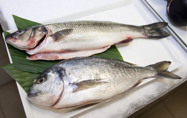 Seabass and gilthead bream prepared for cooking