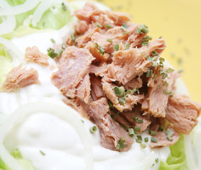 thunfisch