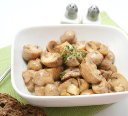 Frische Champignons