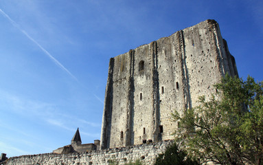 Fototapeta na wymiar Cité Médiévale de Loches