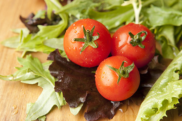Tomato in Lettuce Salad