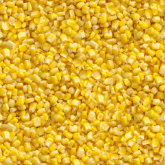 Seamless Corn Kernel Tile
