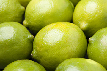 Whole LImes in Pile