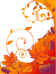 Fototapeta na wymiar leaf autumn background