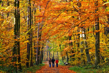 Family walking through autumn park, Frankfurt, 2008