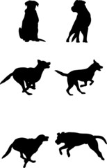 Vector dog silhouette