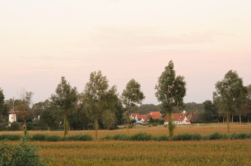 Fototapeta na wymiar paesaggio rurale
