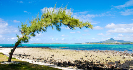 tropical beach in Mauritius