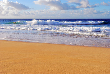 surfers in Hawaii