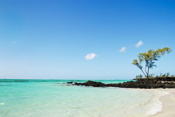 tropical beach in Mauritius