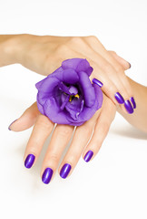 Manicure spa pampering with purple flower