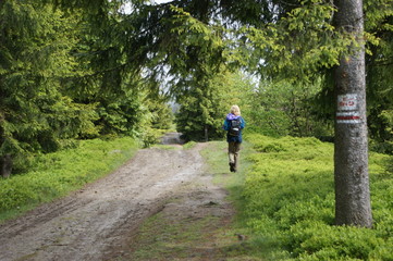 Obraz premium turystyczny szlak 2