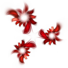 Fototapeta na wymiar Abstract fractal flowers