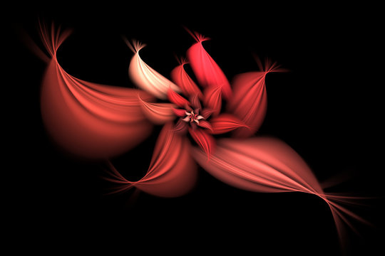 Abstract Fractal Flower