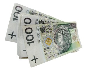 polish currency