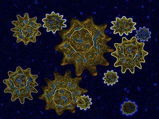 Illustration du virus de la gripe A / H1N1