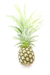 Pineapple on a white background