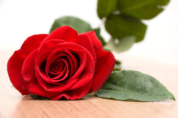 Single Red Rose on Wooden Surface