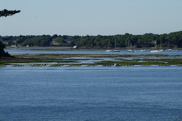 parc à huîtres