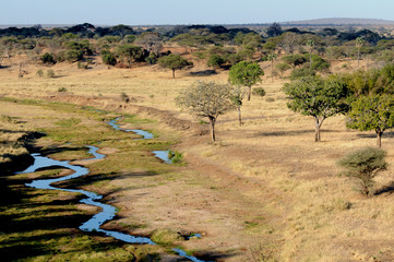 tanzania