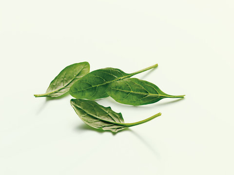 spinach (Spinat)