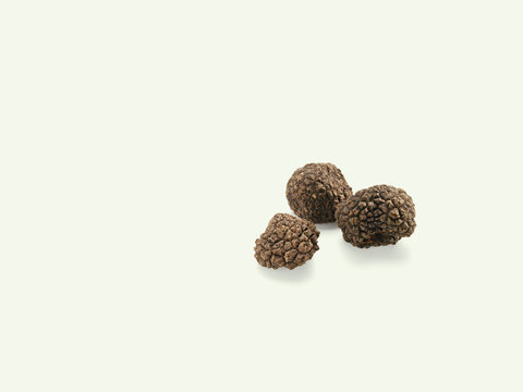 truffle (Trueffel)