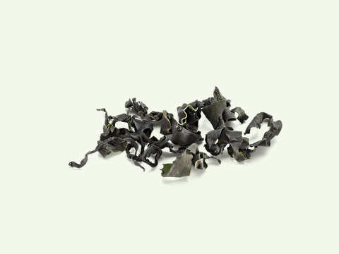 Wakame (Braunalge)