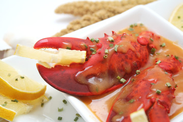 Frischer Hummer