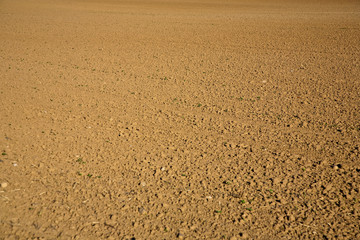 erdfarbenes Feld im Spätsommer ist gepflügt