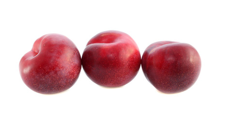 Red large plums  isolated.