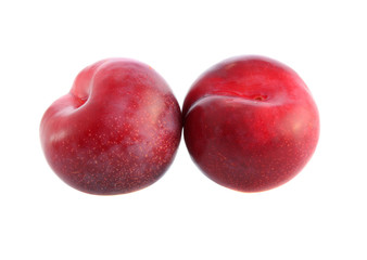 Red plum  isolated.