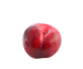 Red  plum  isolated.