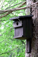 Nistkasten Nisthilfe