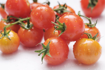 fresh tomato