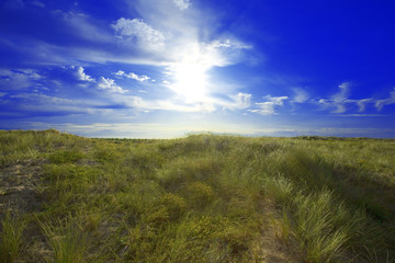 france, charente maritime,oléron : soleil dans les dunes