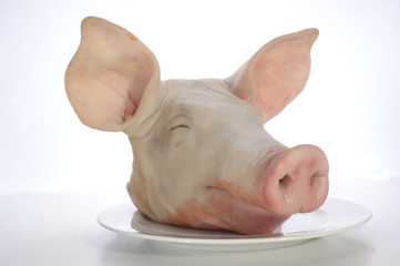 pig's head on a plate and white background