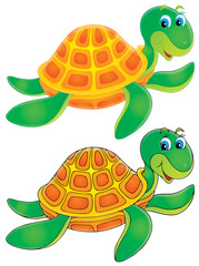 Turtle (color and black contours)