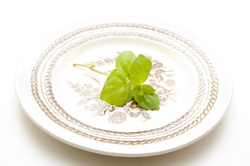 Minze auf Teller