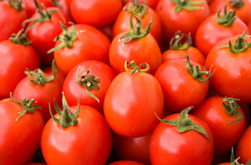 Background of red freshly picked tomatoes