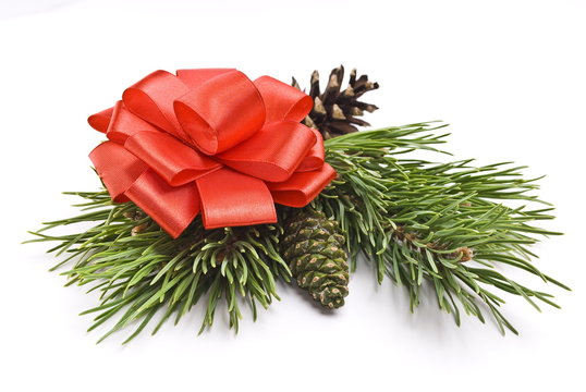 Decorated christmas-pine branch with red bow