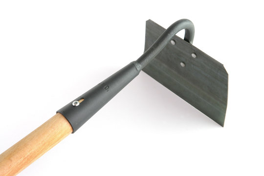 Binette sur fond blanc