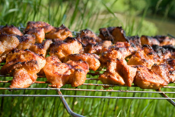 The prepared tasty meat in lattice