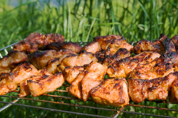 The prepared tasty meat in lattice