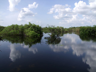 Floride - Everglades