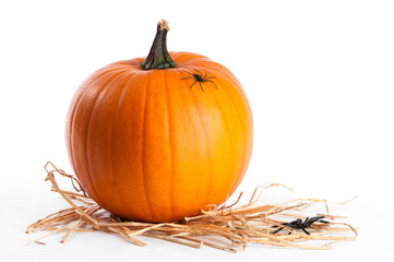 Pumpkin With Spiders