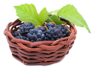 Blackberries in a basket