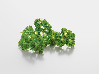 curly leaf parsley; Krause Petersilie