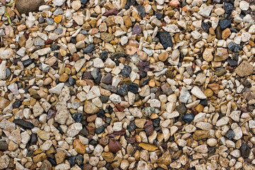 Background of small stones