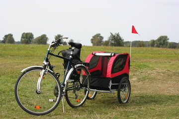 Fahrradanhänger mit Nina 27